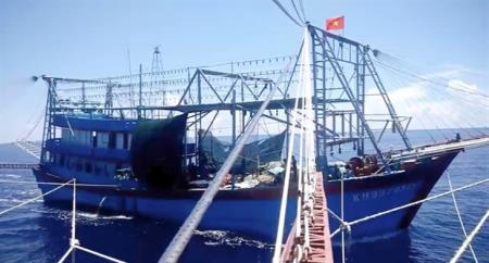 “Số hóa” trên tàu đánh cá xa bờ