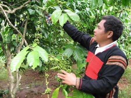 "Kích hoạt" tiềm năng vùng Tây Nguyên, phát triển kinh tế xanh