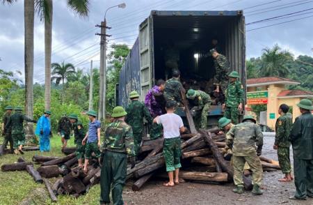Gần 150 tấn gỗ cẩm lai được “phù phép” đưa từ Lào vào Việt Nam như thế nào?