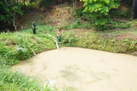 Đảng viên đồn Biên phòng mang ấm no cho đồng bào vùng biên