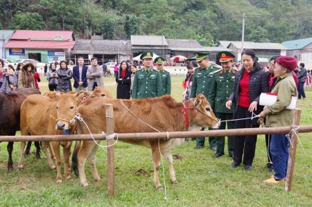 Trao tặng 32 con bò giống cho các gia đình có hoàn cảnh khó khăn trên địa bàn huyện Hà Quảng