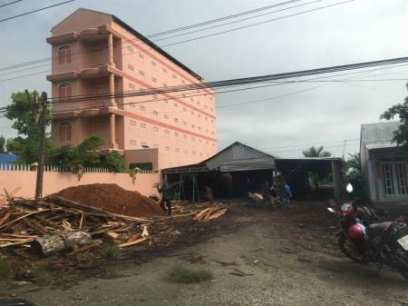 Yến sào Việt Nam “rộng đường” sang Trung Quốc