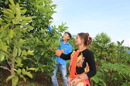 Xây dựng hệ gia đình Việt Nam ấm no, hạnh phúc, văn minh