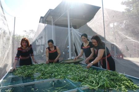 Cải khô muối ống lồ ô của người Giẻ Triêng