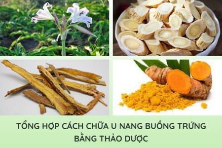 Tổng hợp các cách chữa u nang buồng trứng bằng thảo dược