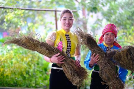 Tạo cơ hội mới cho phụ nữ dân tộc thiểu số thoát nghèo bền vững