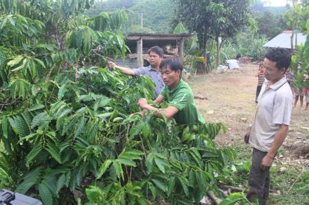 Hỗ trợ huyện Đắk Glong thoát khỏi tình trạng nghèo, đặc biệt khó khăn giai đoạn 2022-2025