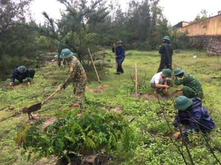 Trồng cây xanh góp phần xây dựng nông thôn mới