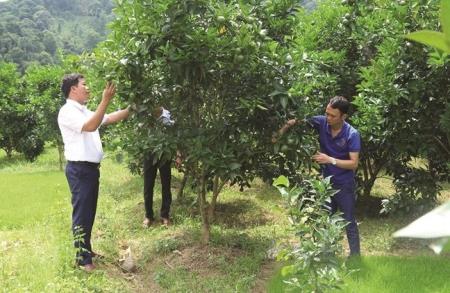 Tập trung thực hiện Chương trình mục tiêu quốc gia phát triển kinh tế - xã hội vùng đồng bào dân tộc thiểu số tại huyện biên giới Tràng Định