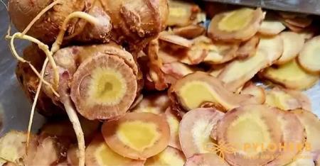 Xuất hiện sâm Ngọc Linh giả tại Kom Tum