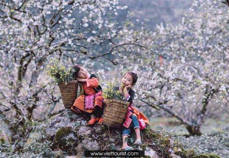 Dự cảm tháng Giêng