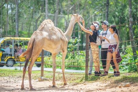 Du lịch Việt Nam - thích ứng với tình hình mới để phục hồi