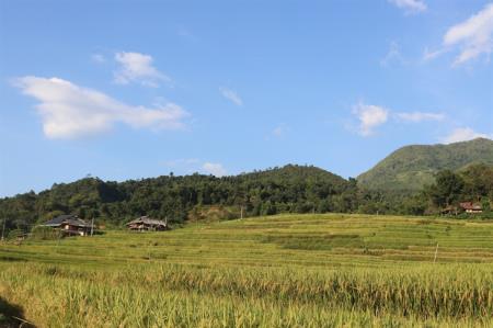 Cần thêm những chính sách hỗ trợ nông dân phát triển nông nghiệp bền vững