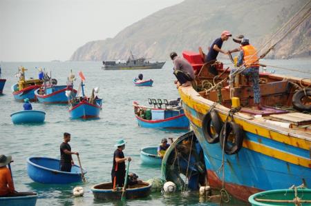 Bình Định: Tìm kiếm, trục vớt các phương tiện bị sóng đánh chìm trên biển