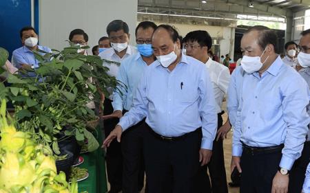 Phát triển kinh tế tập thể, hợp tác xã là tất yếu khách quan, có ý nghĩa chiến lược và lâu dài