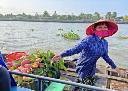Du lịch miệt vườn Nam Bộ nỗ lực hồi sinh