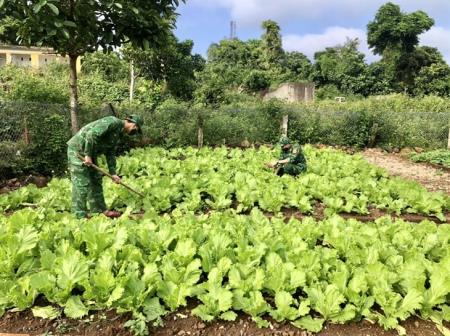 Điểm sáng về tăng gia sản xuất trên đảo tiền tiêu