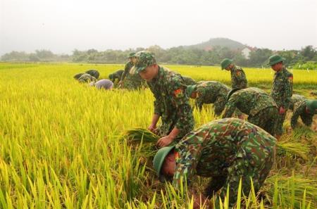 Tuổi trẻ Trung tâm Huấn luyện BĐBP “Đoàn kết, xung kích, sáng tạo, khát vọng, phát triển”