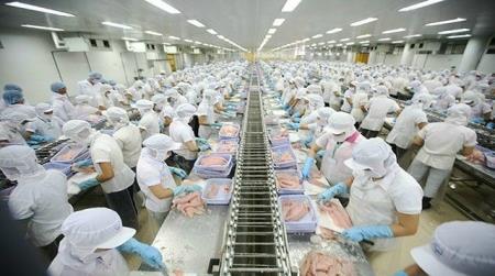 Kinh tế Việt Nam phục hồi và tăng trưởng trở lại