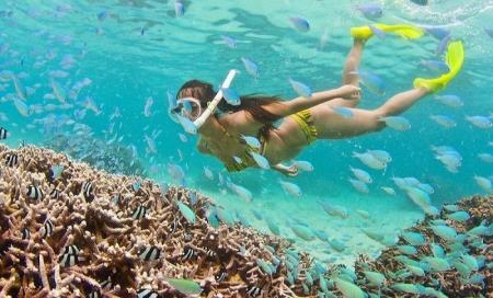 Bỏ túi kinh nghiệm tham gia tour Côn Đảo chi tiết nhất cùng DivuiTravel