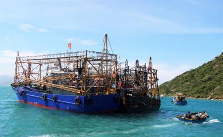 Nguy cơ trắng tay vì tàu vỏ thép