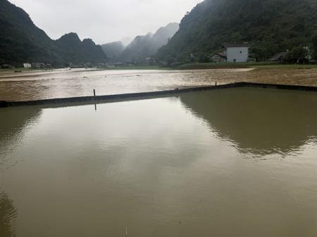9 người thương vong, 1 người mất tích do mưa lũ