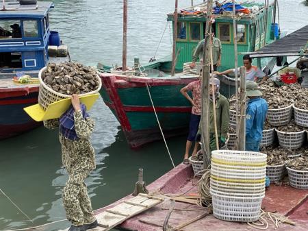 Xuất khẩu nông sản tiếp tục là điểm sáng