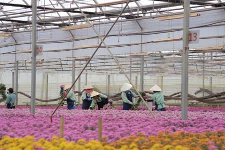 Nông dân Tây Nguyên với chuyển đổi số