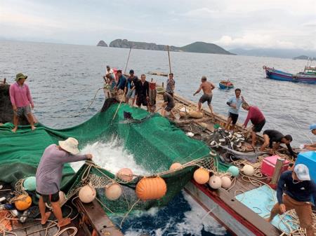 Nguy cơ “xóa sổ” nghề lưới đăng