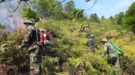 Chủ động phòng, chống cháy rừng trong mùa cao điểm