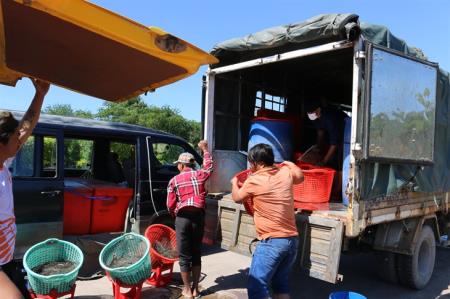 Khơi thông dòng chảy hàng hóa cho đồng bằng sông Cửu Long