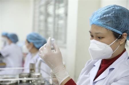 Ngày 25/6, tiếp tục không ghi nhận ca tử vong do Covid-19