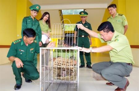 Nỗ lực bảo vệ động vật hoang dã trên địa bàn biên giới