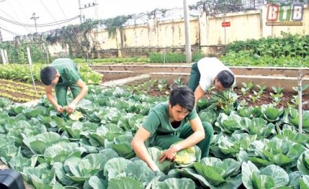 Nâng cao sức khỏe, bảo đảm an toàn thực phẩm cho bộ đội mùa nắng nóng