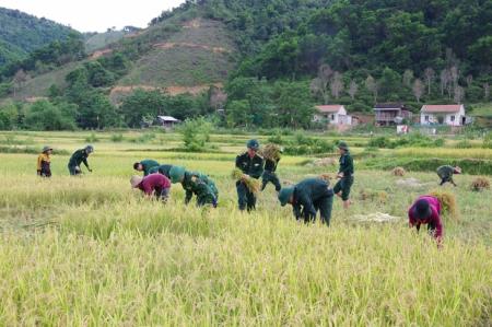 “Mùa vàng” của đồng bào dân tộc Chứt