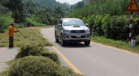 Nguy cơ mất an toàn giao thông từ hành vi lấn chiếm lòng, lề đường để phơi nông sản