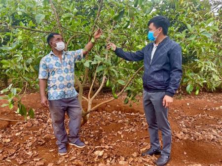 Nỗ lực xây dựng xã nông thôn mới nâng cao