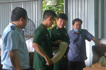 Triệt phá các đường dây buôn lậu động vật hoang dã qua cảng biển Tiên Sa