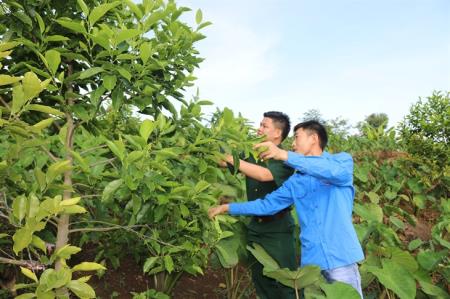 Khẳng định vai trò của cán bộ, đảng viên Biên phòng trong củng cố hệ thống chính trị cơ sở