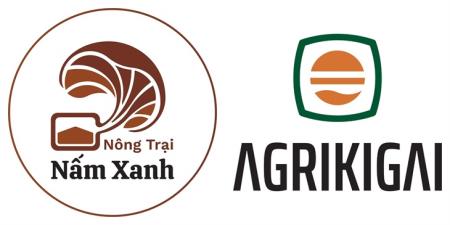 Giới thiệu về Nấm xanh