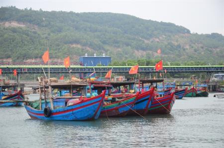 Xăng, dầu hạ nhiệt, tín hiệu vui đối với ngư dân xứ Thanh