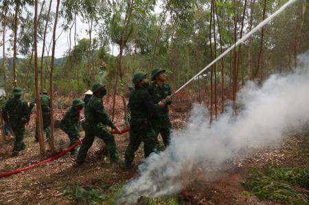 Sẵn sàng ứng phó khi có tình huống cháy rừng xảy ra