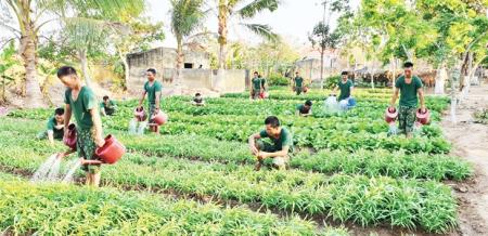 Chất lượng, hiệu quả công tác bảo đảm hậu cần trong BĐBP ngày càng được nâng cao