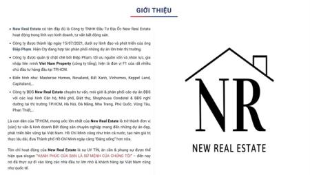 Địa Ốc New Real Estate - Đồng hành cùng nhà đầu tư trên thị trường bất động sản