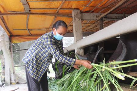 Nhiều đổi thay trong vùng đồng bào dân tộc Khmer ở Sóc Trăng