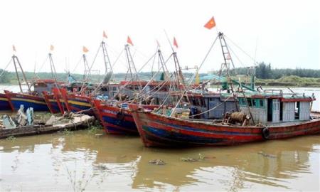 Quảng Ninh, Hải Phòng, Nam Định, Thái Bình chủ động ứng phó bão số 2