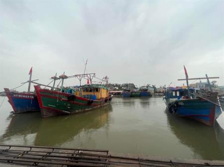 Bão số 2 tan, chưa ghi nhận thiệt hại về tàu thuyền