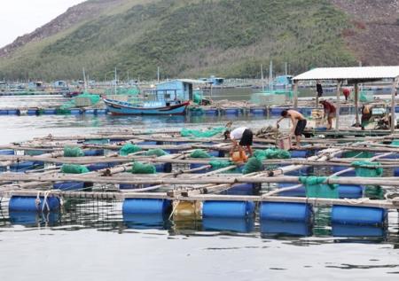Phát triển kinh tế biển bền vững: Tiếp tục hoàn thiện cơ chế về biển