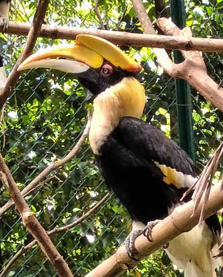 Phát huy giá trị di sản thiên nhiên liên biên giới Việt - Lào