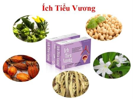 Ích Tiểu Vương - Lựa chọn hàng đầu cho người tiểu són, tiểu nhiều lần, tiểu đêm